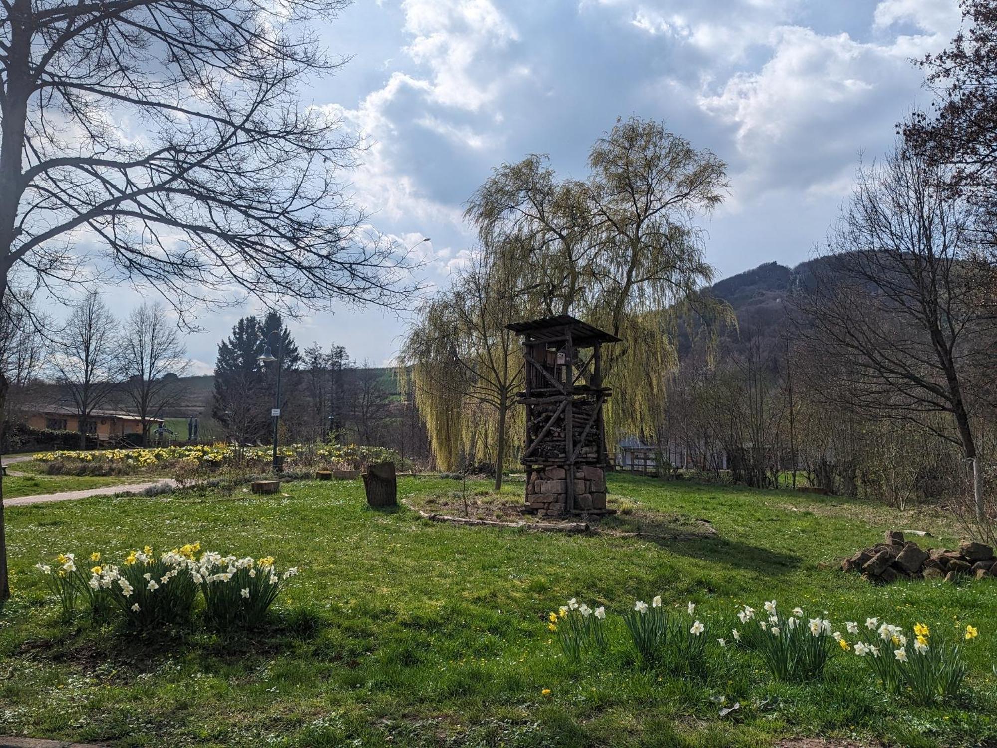 Ferienhaus Am Park Klingenmünster エクステリア 写真