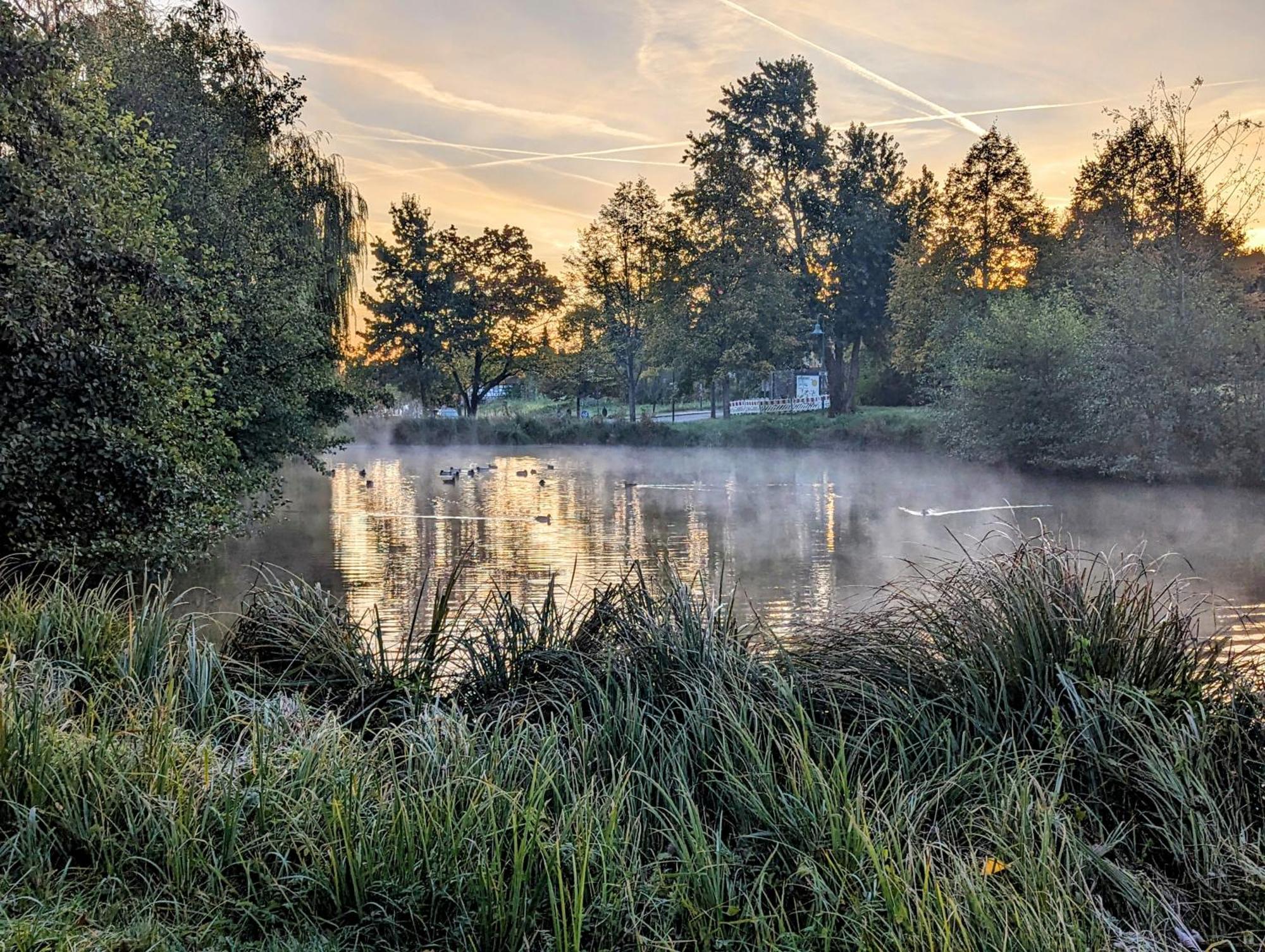 Ferienhaus Am Park Klingenmünster エクステリア 写真